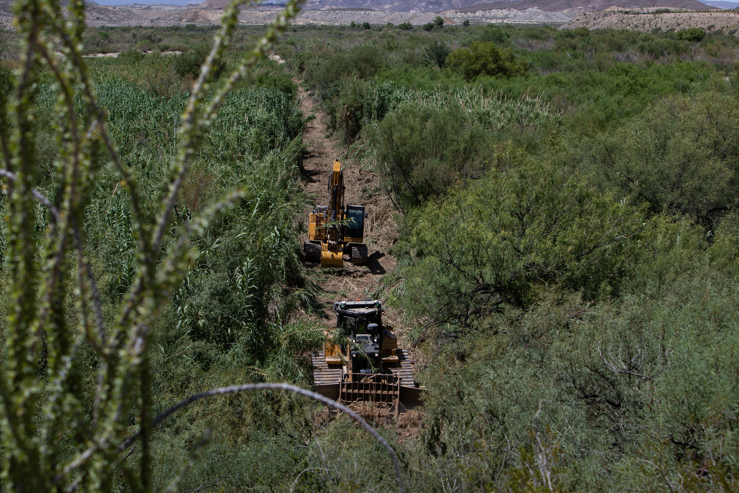 Excavation and bulldozing equipment as seen through vegetation near the Santa Elena Canyon trailhead parking lot and next to Ross Maxwell Scenic Drive in Big Bend National Park on Aug. 13, 2026.